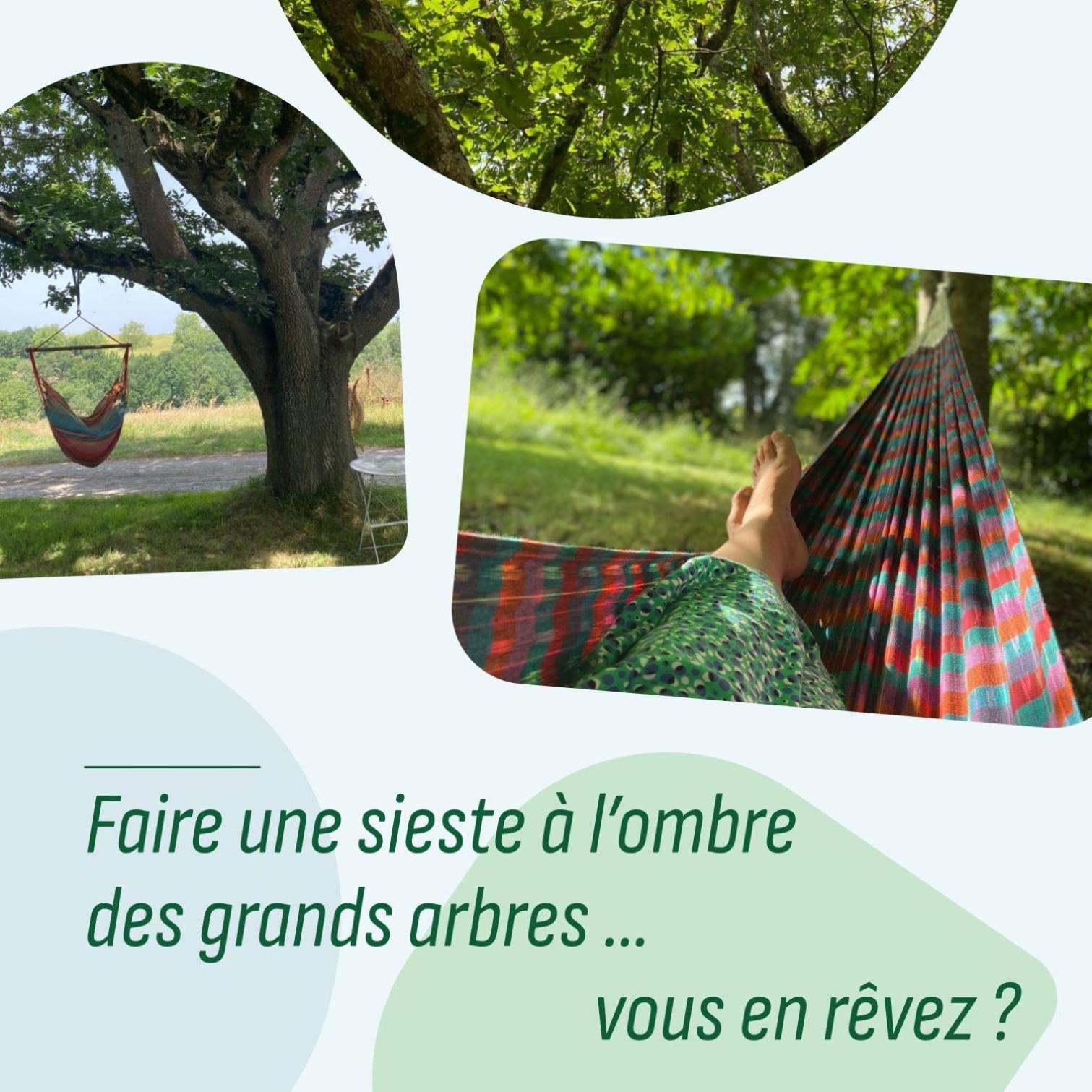 Le Repaire De La Reveuse Bed and Breakfast Saint-Frajou Exteriör bild