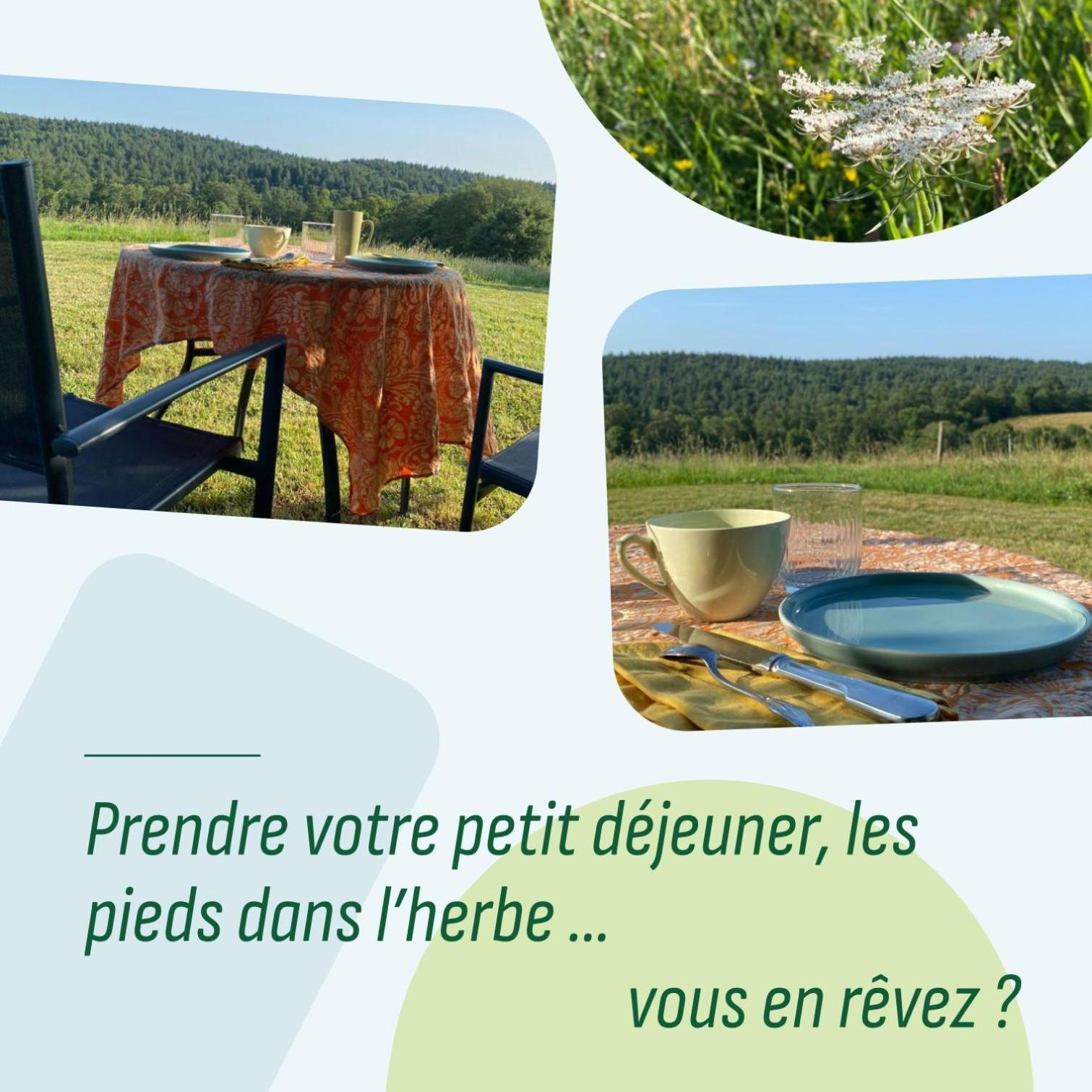 Le Repaire De La Reveuse Bed and Breakfast Saint-Frajou Exteriör bild