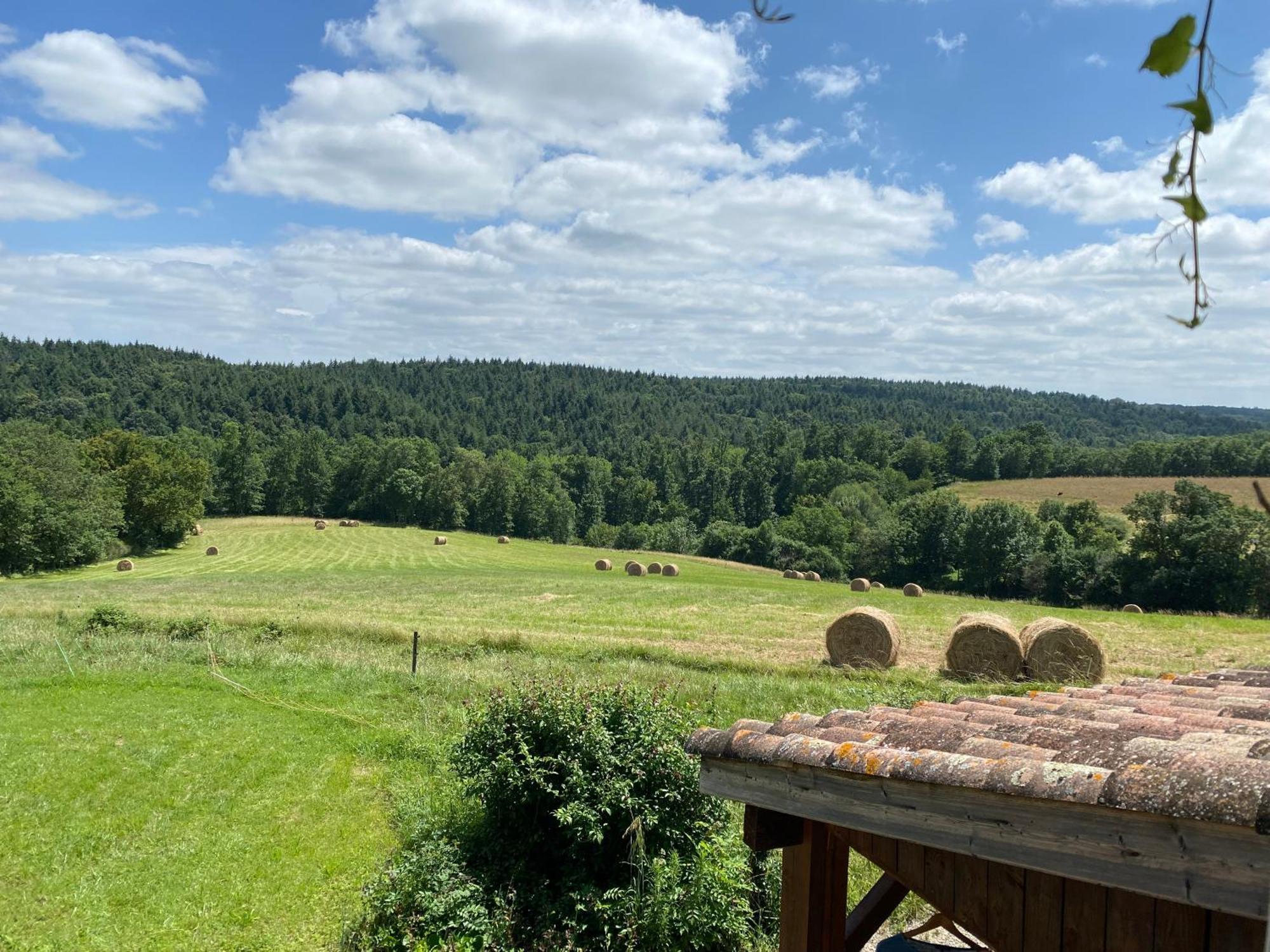 Le Repaire De La Reveuse Bed and Breakfast Saint-Frajou Rum bild